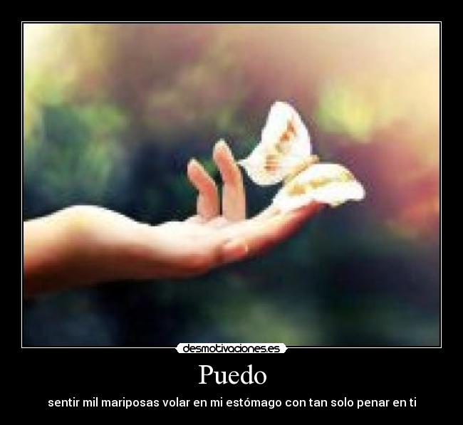Puedo - sentir mil mariposas volar en mi estómago con tan solo penar en ti
