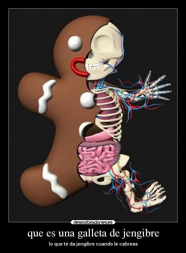 que es una galleta de jengibre - lo que te da jengibre cuando le cabreas