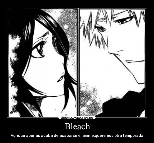 Bleach -