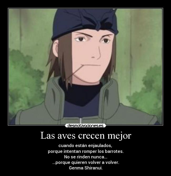 Las aves crecen mejor - 