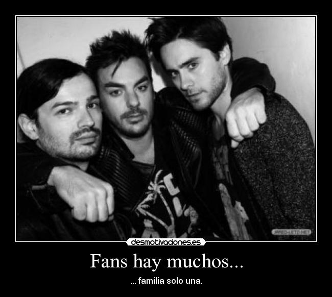 Fans hay muchos... -