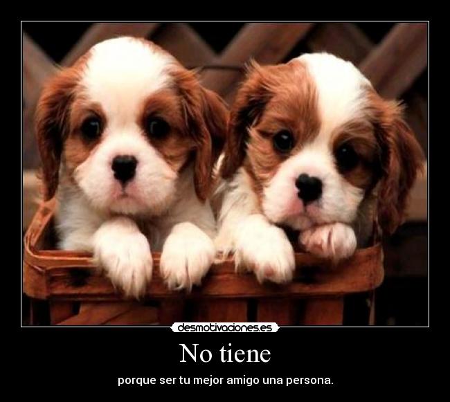 No tiene - porque ser tu mejor amigo una persona.