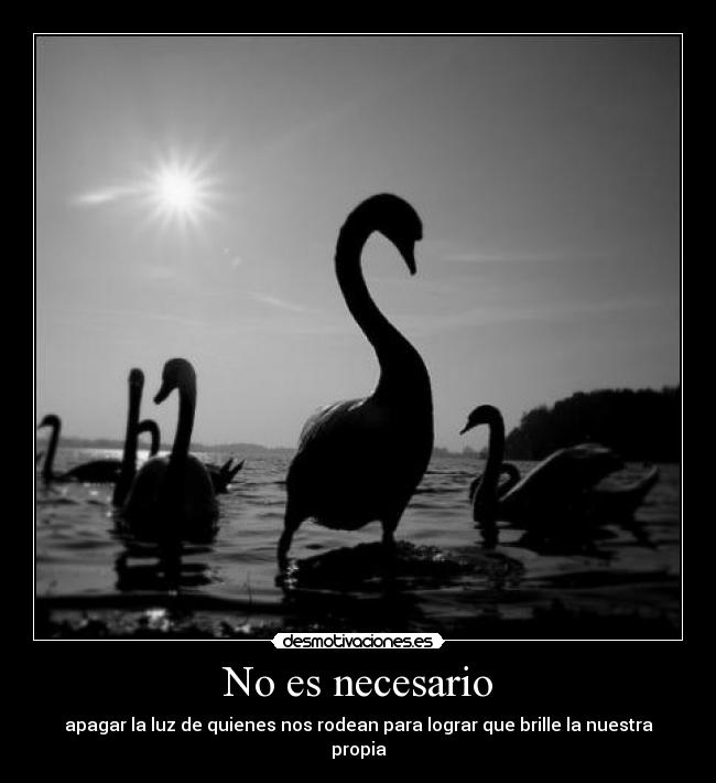 No es necesario -