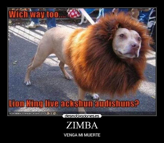 ZIMBA - VENGA MI MUERTE