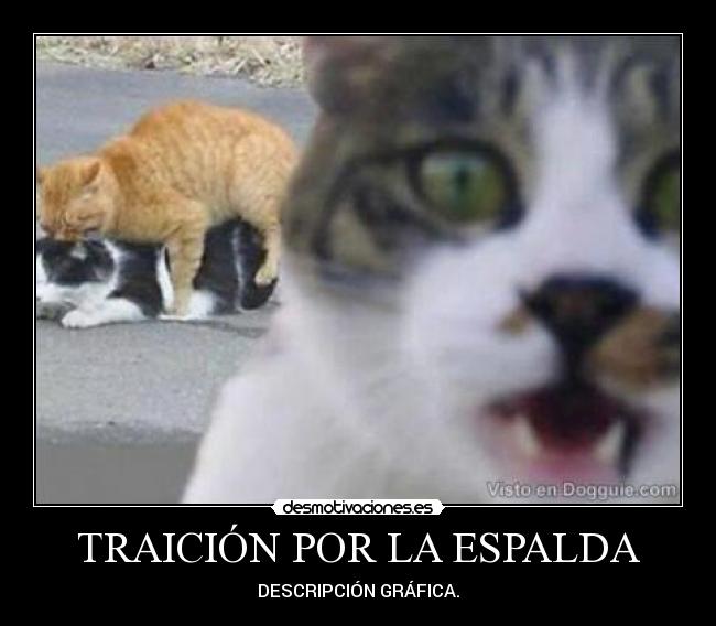 TRAICIÓN POR LA ESPALDA - DESCRIPCIÓN GRÁFICA.