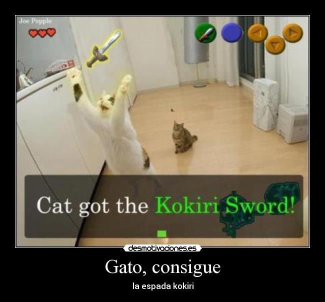 Gato, consigue - la espada kokiri