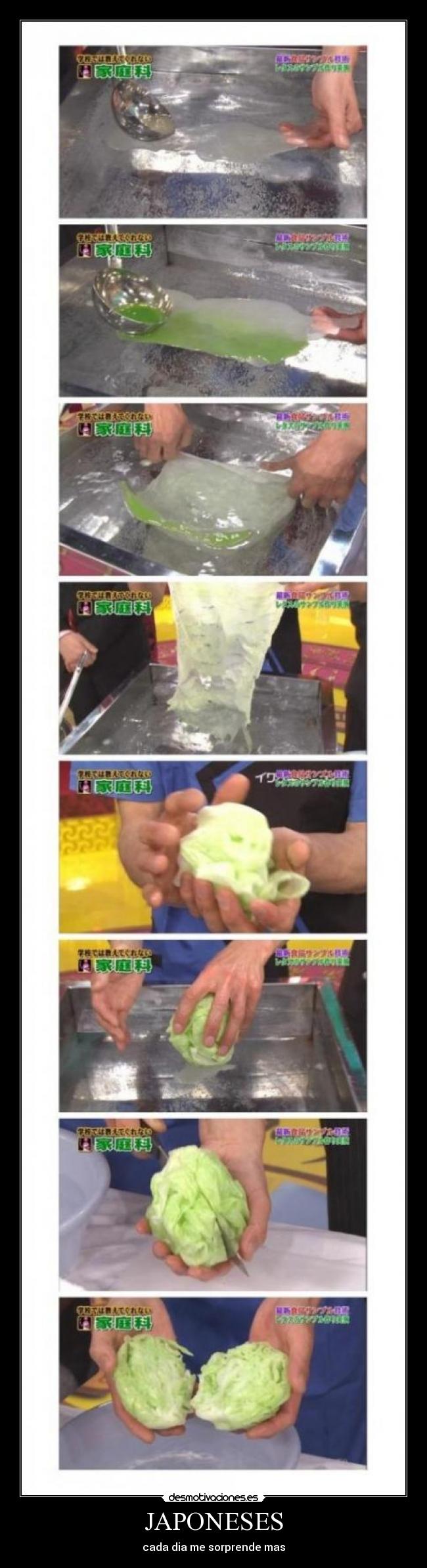 JAPONESES - cada dia me sorprende mas