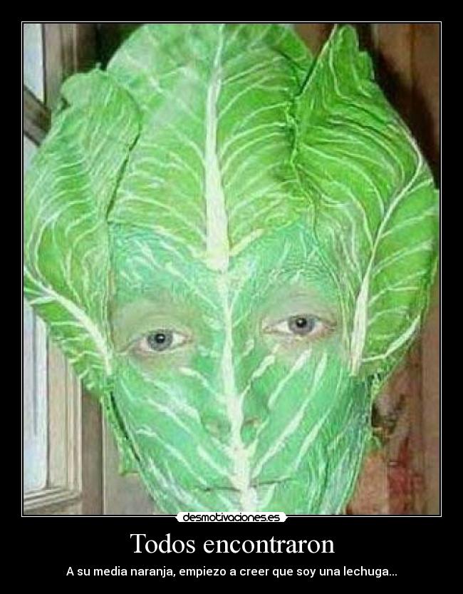 Todos encontraron - 