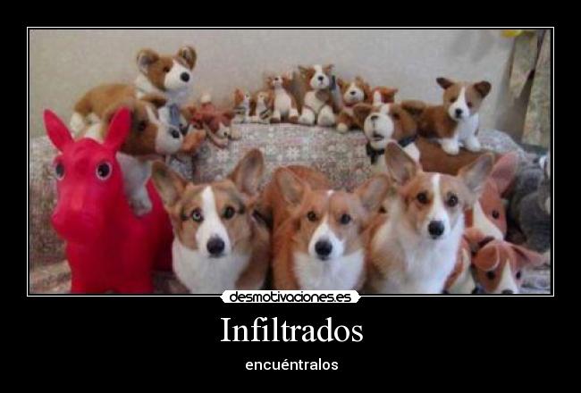 Infiltrados - encuéntralos