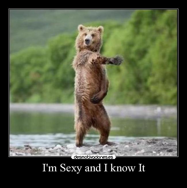 Im Sexy and I know It -