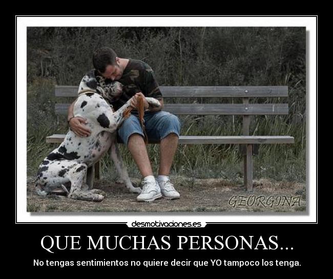 QUE MUCHAS PERSONAS... - No tengas sentimientos no quiere decir que YO tampoco los tenga.