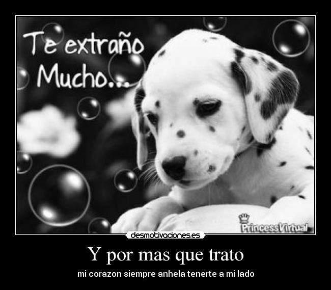 Y por mas que trato - 
