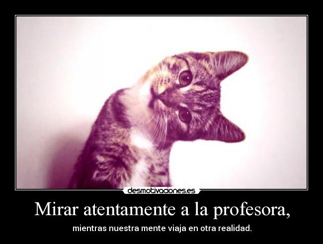 Mirar atentamente a la profesora, - 