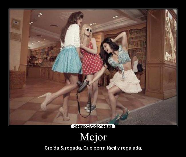 carteles perra desmotivaciones