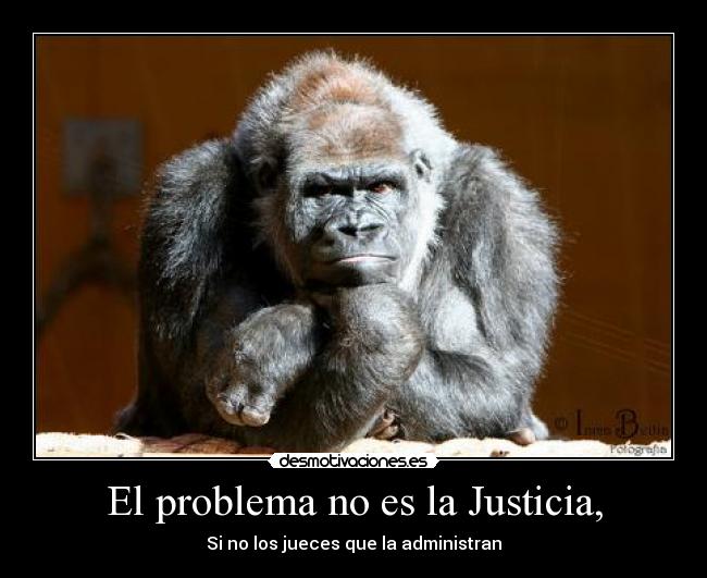 carteles problema justicia desmotivaciones
