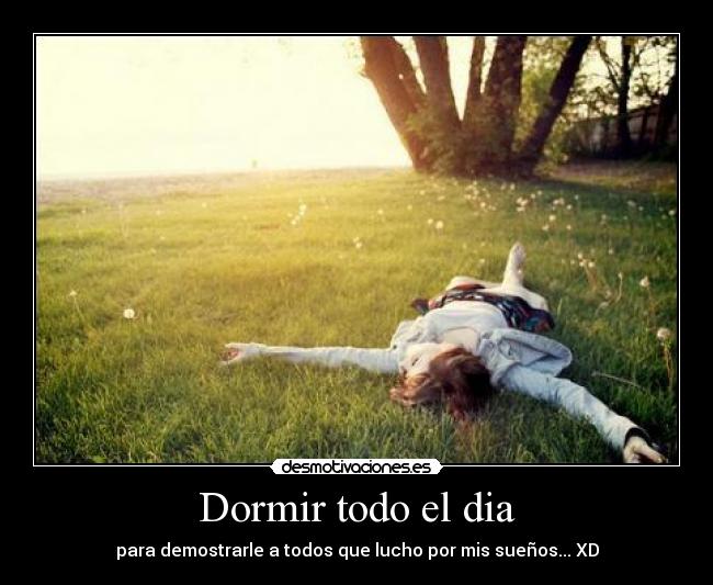 carteles dormir love desmotivaciones