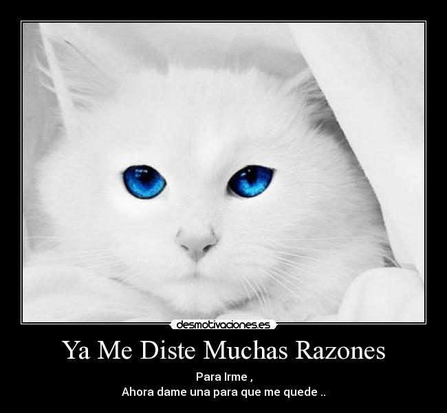 Ya Me Diste Muchas Razones -