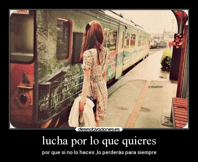 lucha por lo que quieres - por que si no lo haces ,lo perderás para siempre