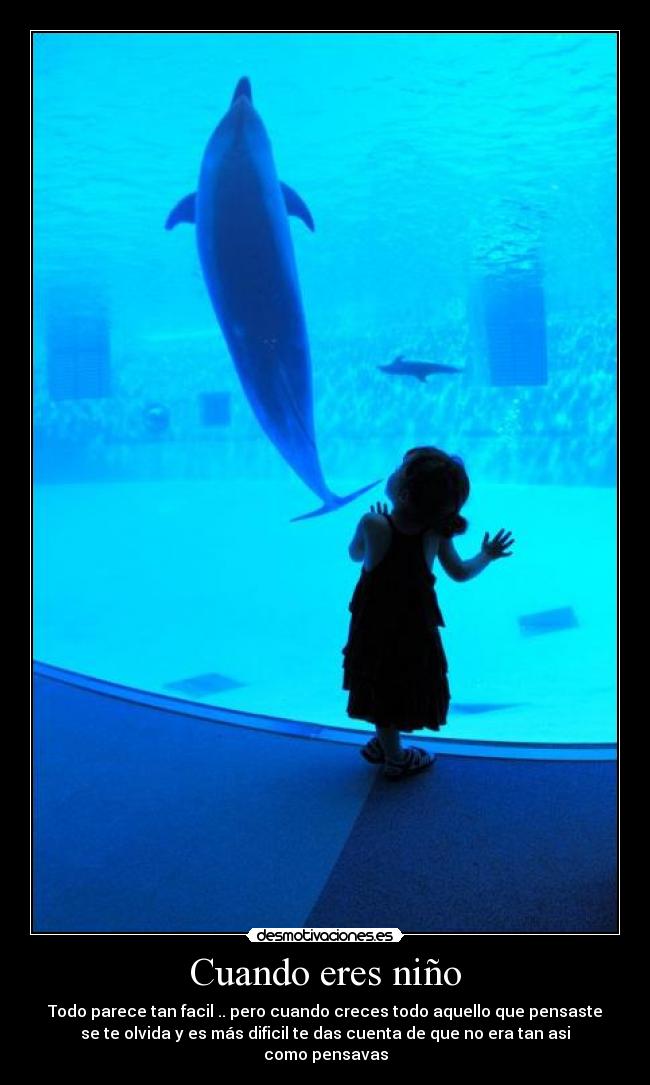 carteles kisawea desmotivaciones