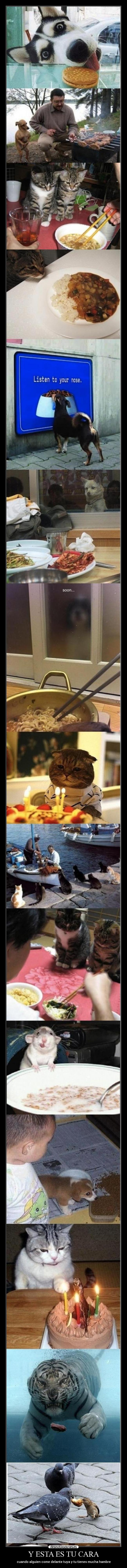 Y ESTA ES TU CARA - cuando alguien come delante tuya y tu tienes mucha hambre