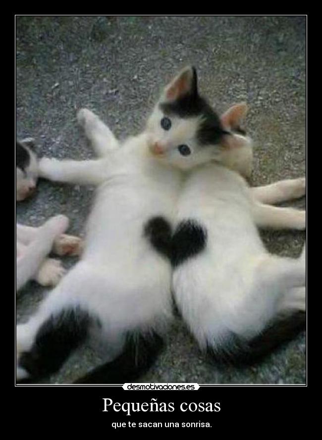 Pequeñas cosas - que te sacan una sonrisa.