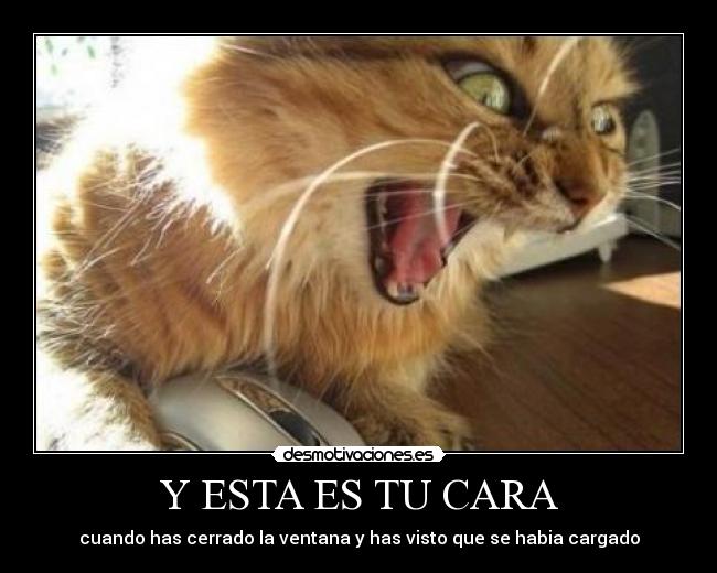 Y ESTA ES TU CARA - cuando has cerrado la ventana y has visto que se habia cargado