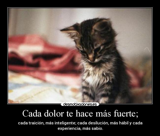 carteles dolor dolor traicion inteligente habil experiencia sabio fuerte desmotivaciones