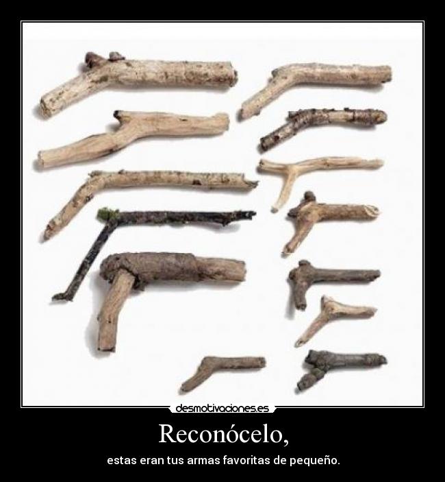 Reconócelo, - estas eran tus armas favoritas de pequeño.