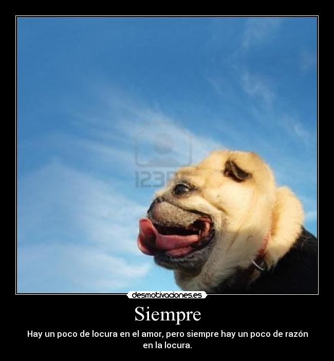 Siempre - Hay un poco de locura en el amor, pero siempre hay un poco de razón en la locura.