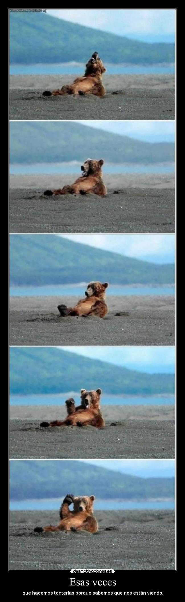 Esas veces - que hacemos tonterías porque sabemos que nos están viendo.