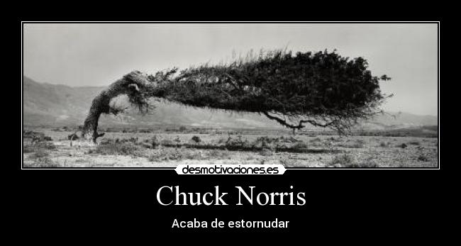 carteles chcuk norris estornudar jajaja desmotivaciones