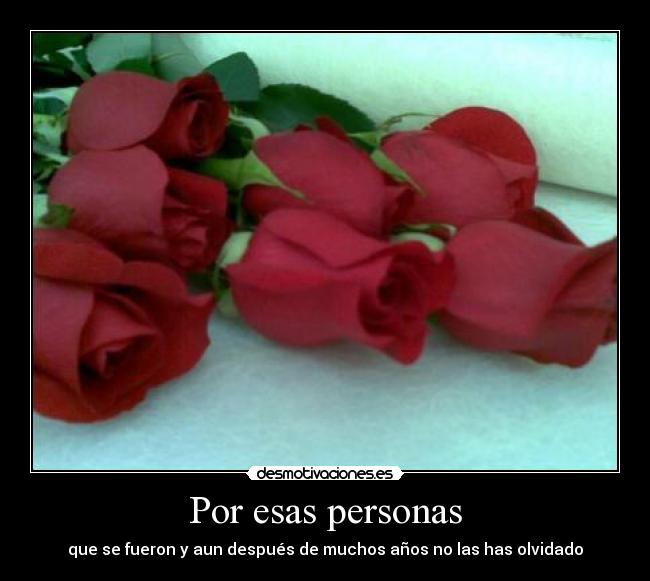 carteles por casi todos hemos pasado por esto desmotivaciones