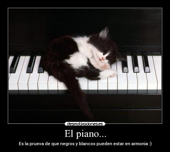 El piano... -