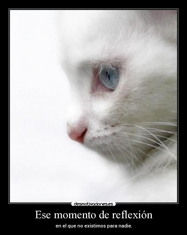 Ese momento de reflexión -