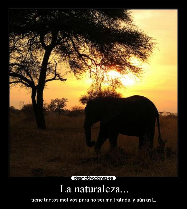 La naturaleza... - tiene tantos motivos para no ser maltratada, y aún así...