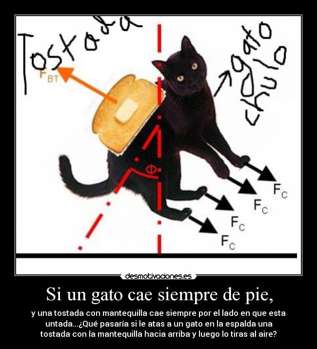 Si un gato cae siempre de pie, - 