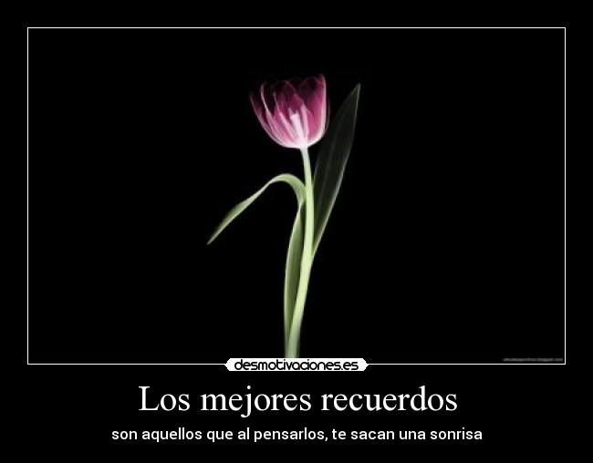 Los mejores recuerdos - son aquellos que al pensarlos, te sacan una sonrisa