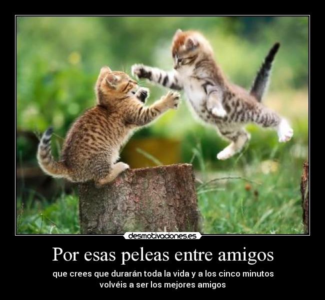 Por esas peleas entre amigos -