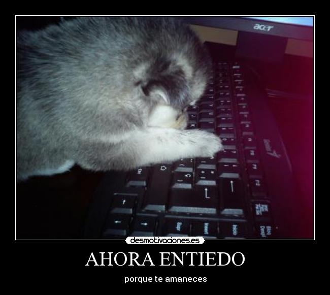 carteles mandira solorezano desmotivaciones