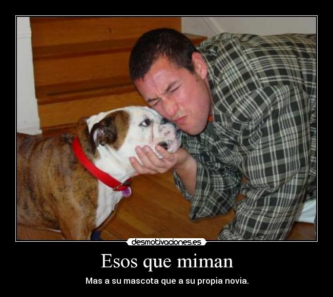 Esos que miman - Mas a su mascota que a su propia novia.