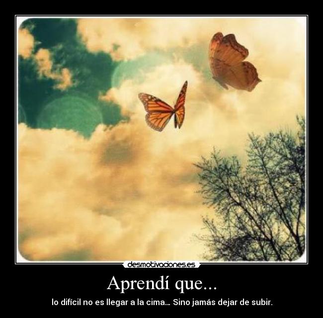 Aprendí que... - 