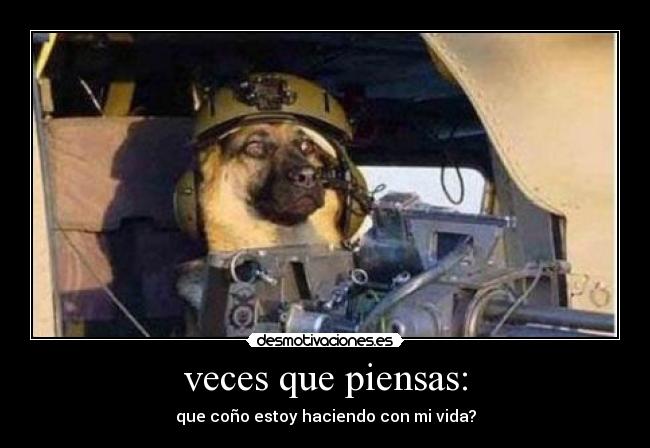 carteles tbp desmotivaciones