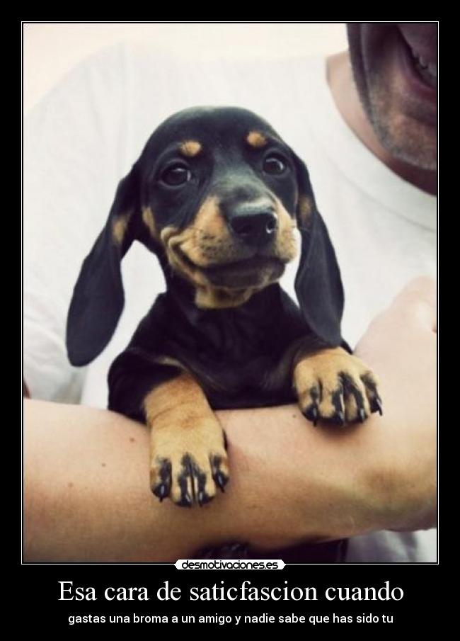 Esa cara de saticfascion cuando -
