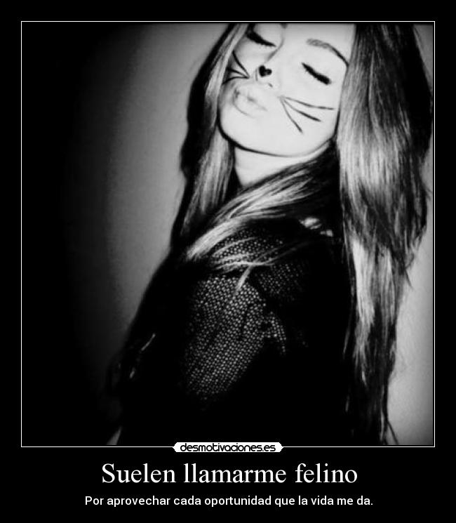 Suelen llamarme felino - Por aprovechar cada oportunidad que la vida me da.