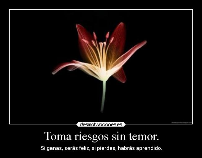 Toma riesgos sin temor. - Si ganas, serás feliz, si pierdes, habrás aprendido.