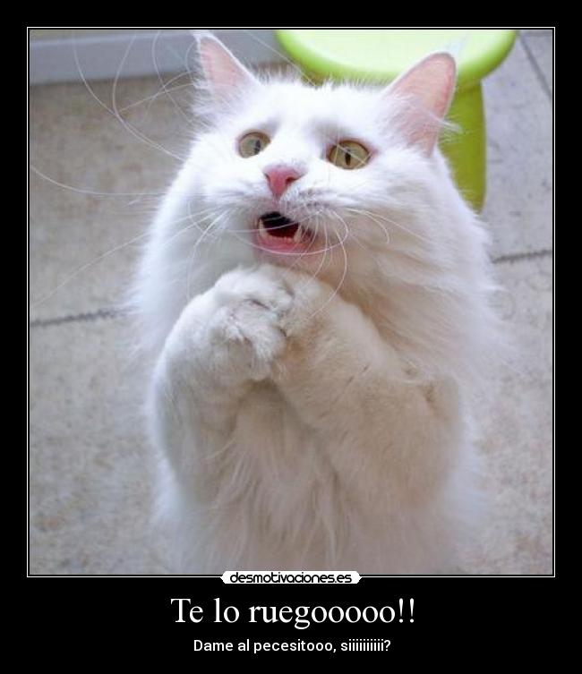 Te lo ruegooooo!! - Dame al pecesitooo, siiiiiiiiii?