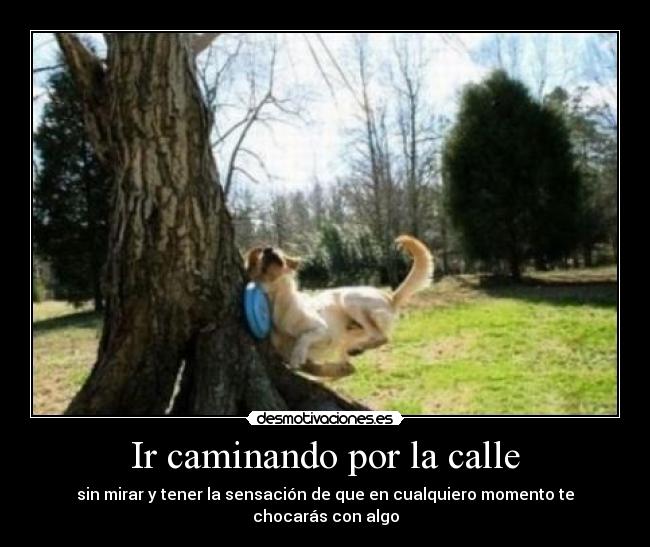 Ir caminando por la calle - sin mirar y tener la sensación de que en cualquiero momento te chocarás con algo