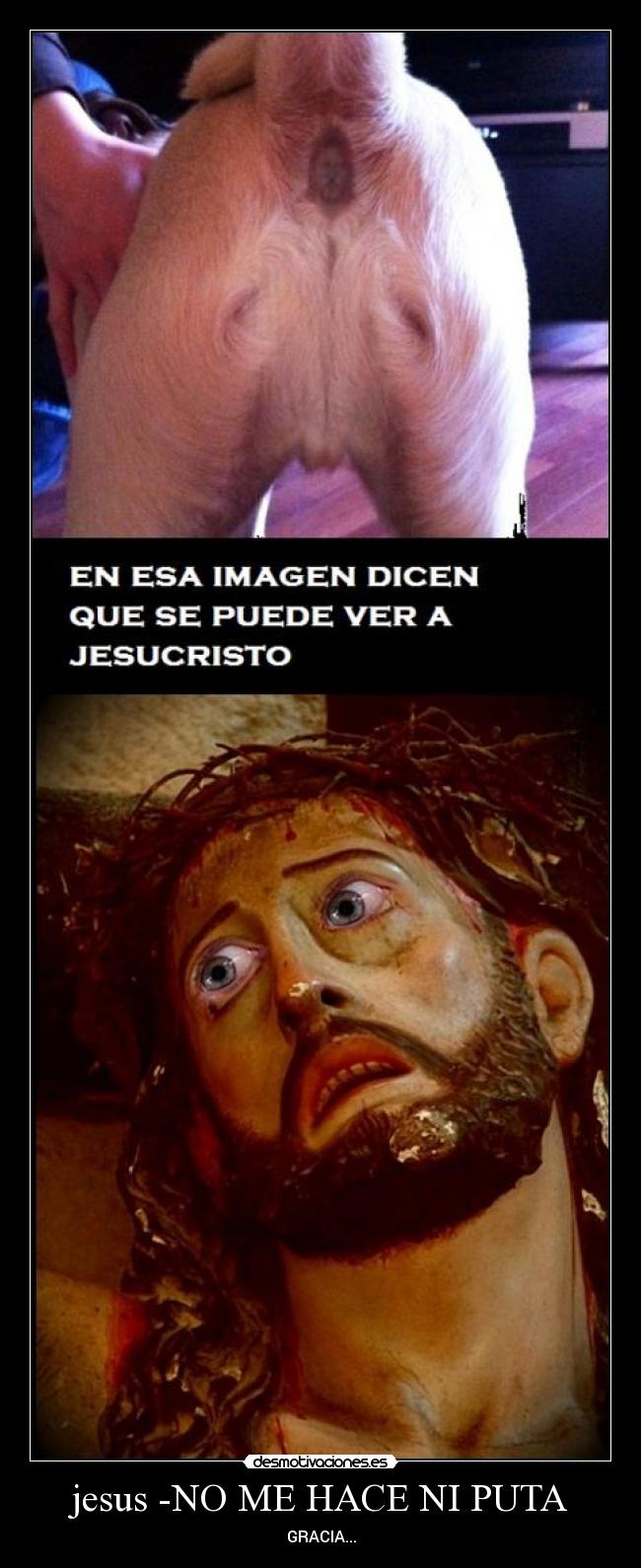 jesus -NO ME HACE NI PUTA - GRACIA...