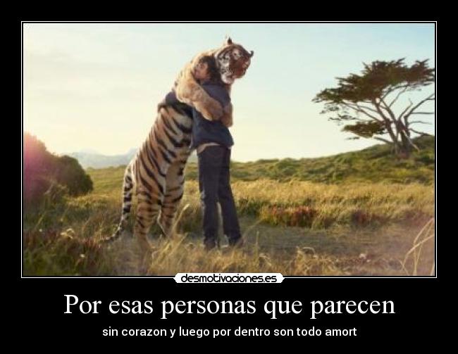 carteles desmotivaciones