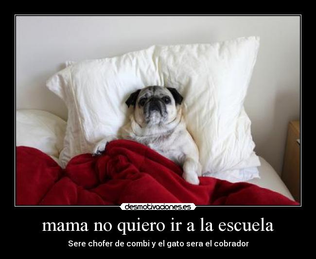 carteles escuela juan sanudo paolo turri desmotivaciones